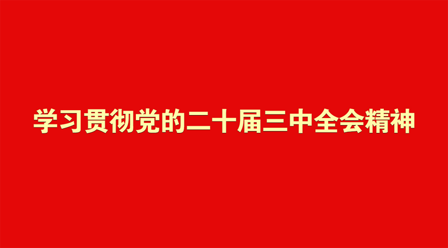 学习贯彻党的二十届三中全会精神